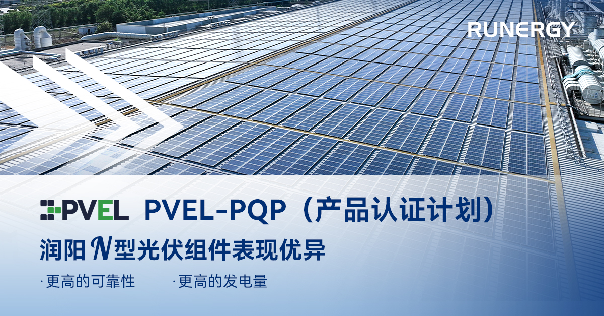 权威认证：润阳N型组件在PVEL-PQP测试中表现优异